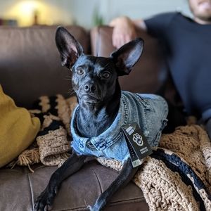 Meet your Posher, Vanessa